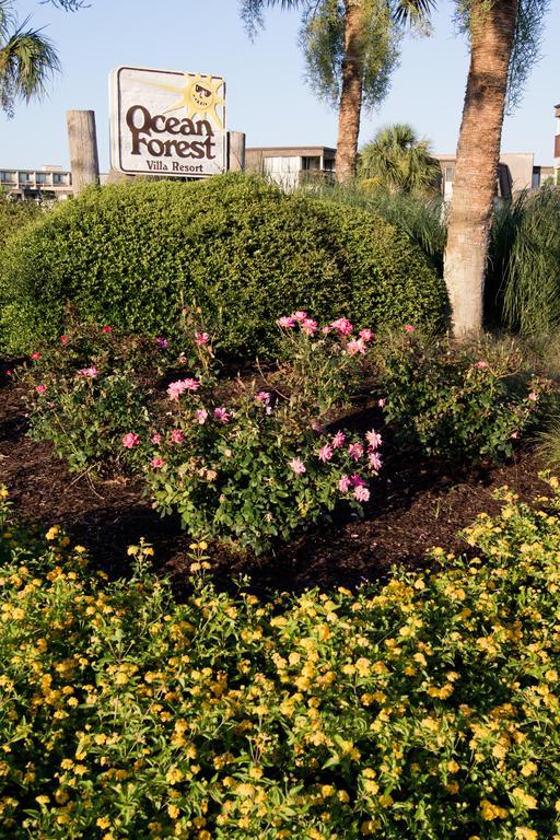 Ocean Forest Villas Myrtle Beach Exteriér fotografie