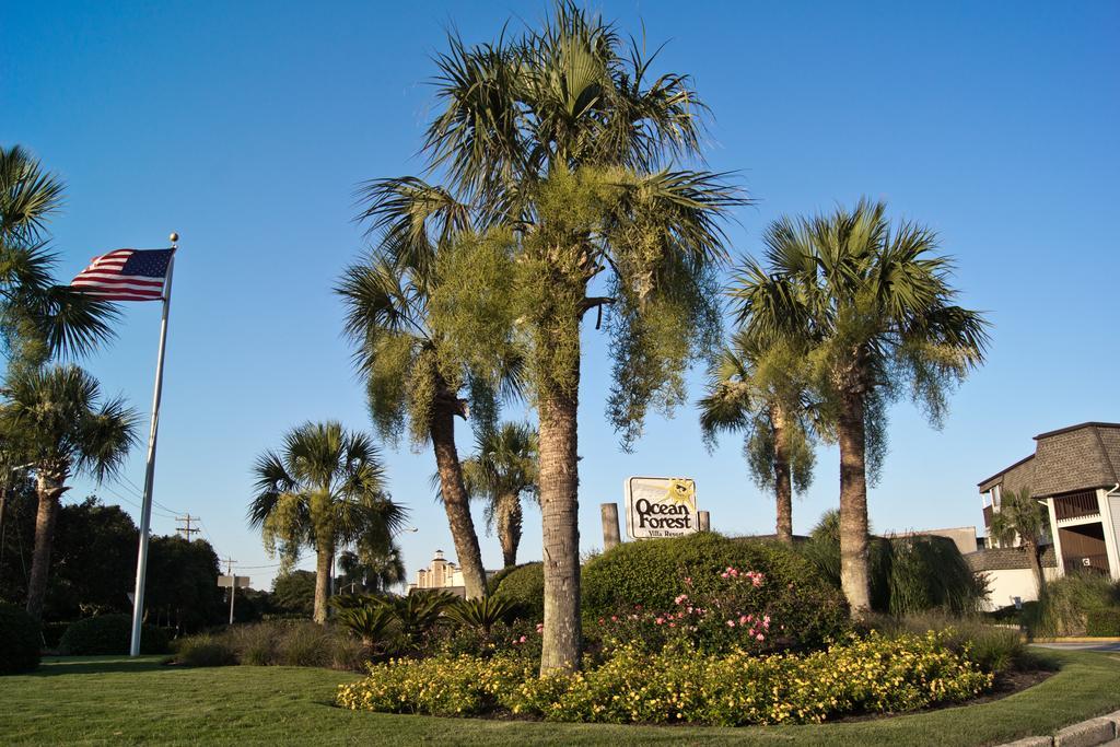 Ocean Forest Villas Myrtle Beach Exteriér fotografie